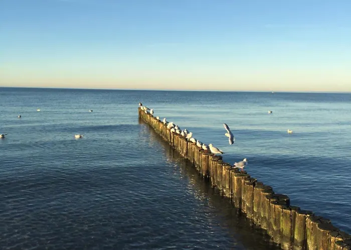 Traditionelles Reethaus Direkt An Der Ostsee Rerik